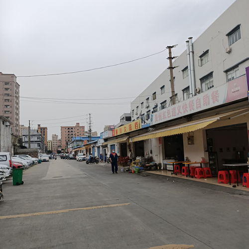 东莞转型 从“世界工厂”到创新高地的蜕变之路