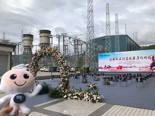 雪域高原见证爱情 世界海拔最高电力换流站举行“美炸天”集体婚礼